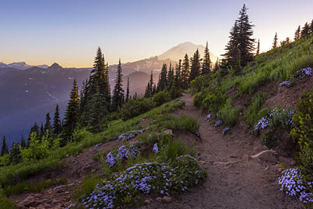 Sunlit mountain with hiking trail and wildflowers